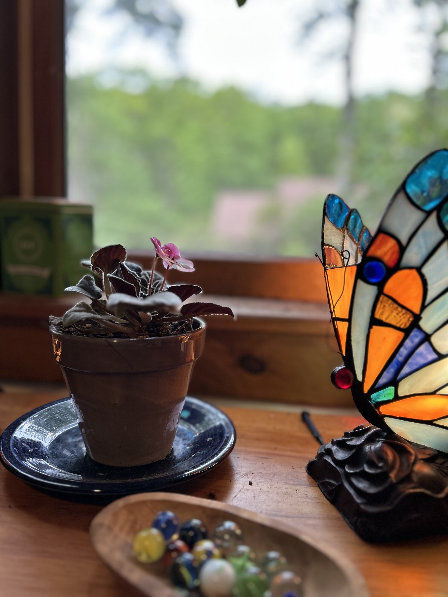 still life in Alli's home of marbles, african violet, and stained glass butterfly lamp. alli's personal home aesthetic