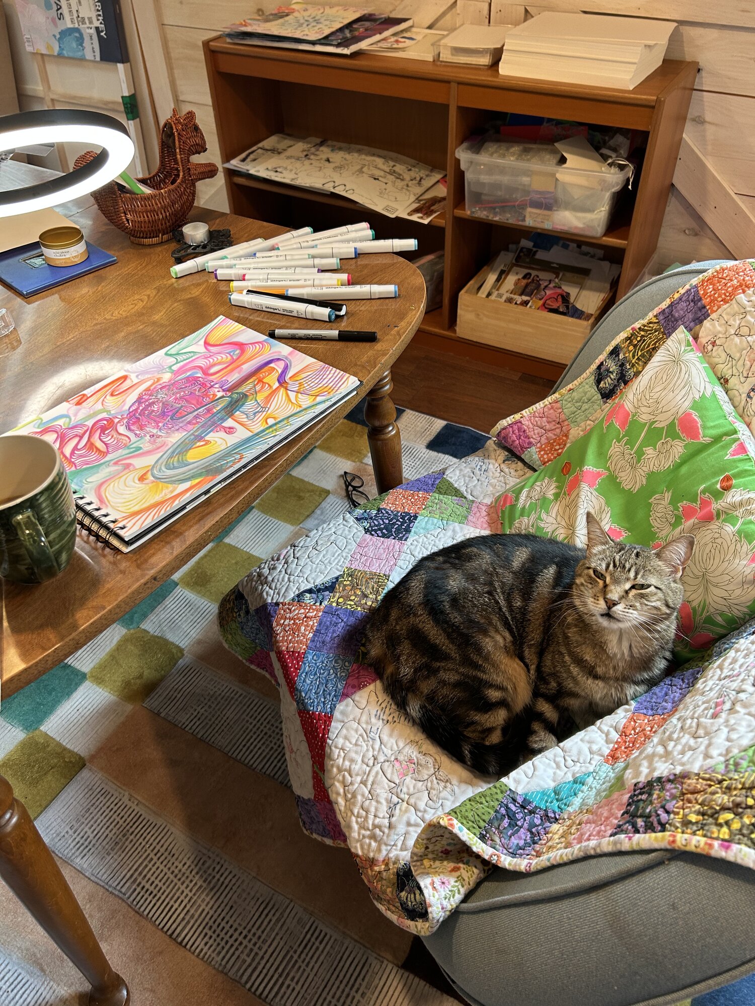 cat sitting in colorful art studio, colorful patchwork quilt, x0alli_art studio